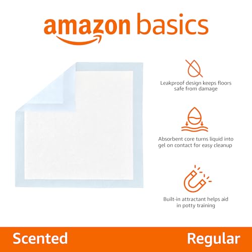 Amazon Basics Dog and Puppy Pee Pads with Leak-Proof Quick-Dry Design for Potty Training, Standard Absorbency, Regular Size, 22 x 22 Inches, Pack of 100, Blue & White