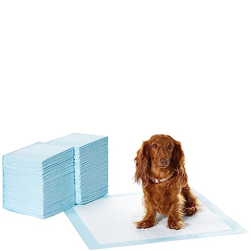 Amazon Basics Dog and Puppy Pee Pads with Leak-Proof Quick-Dry Design for Potty Training, Standard Absorbency, Regular Size, 22 x 22 Inches, Pack of 100, Blue & White