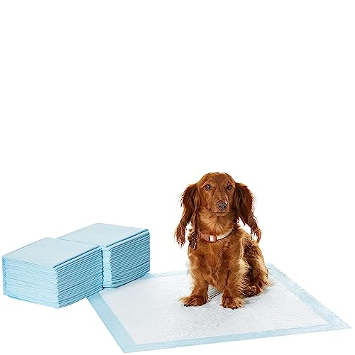 Amazon Basics Dog and Puppy Pee Pads with Leak-Proof Quick-Dry Design for Potty Training, Standard Absorbency, Regular Size, 22 x 22 Inches, Pack of 100, Blue & White