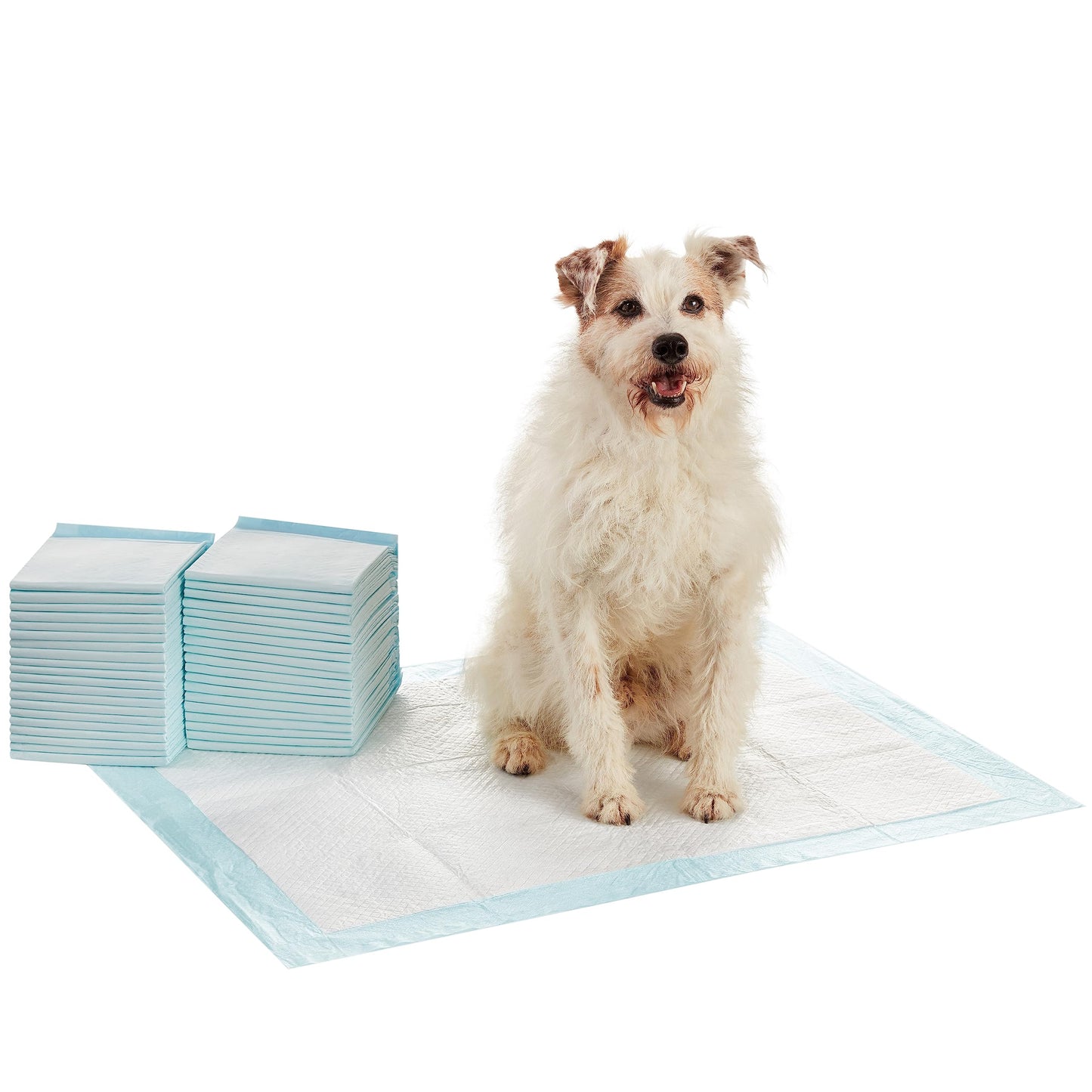 Amazon Basics Dog and Puppy Pee Pads with Leak-Proof Quick-Dry Design for Potty Training, Standard Absorbency, Regular Size, 22 x 22 Inches, Pack of 100, Blue & White