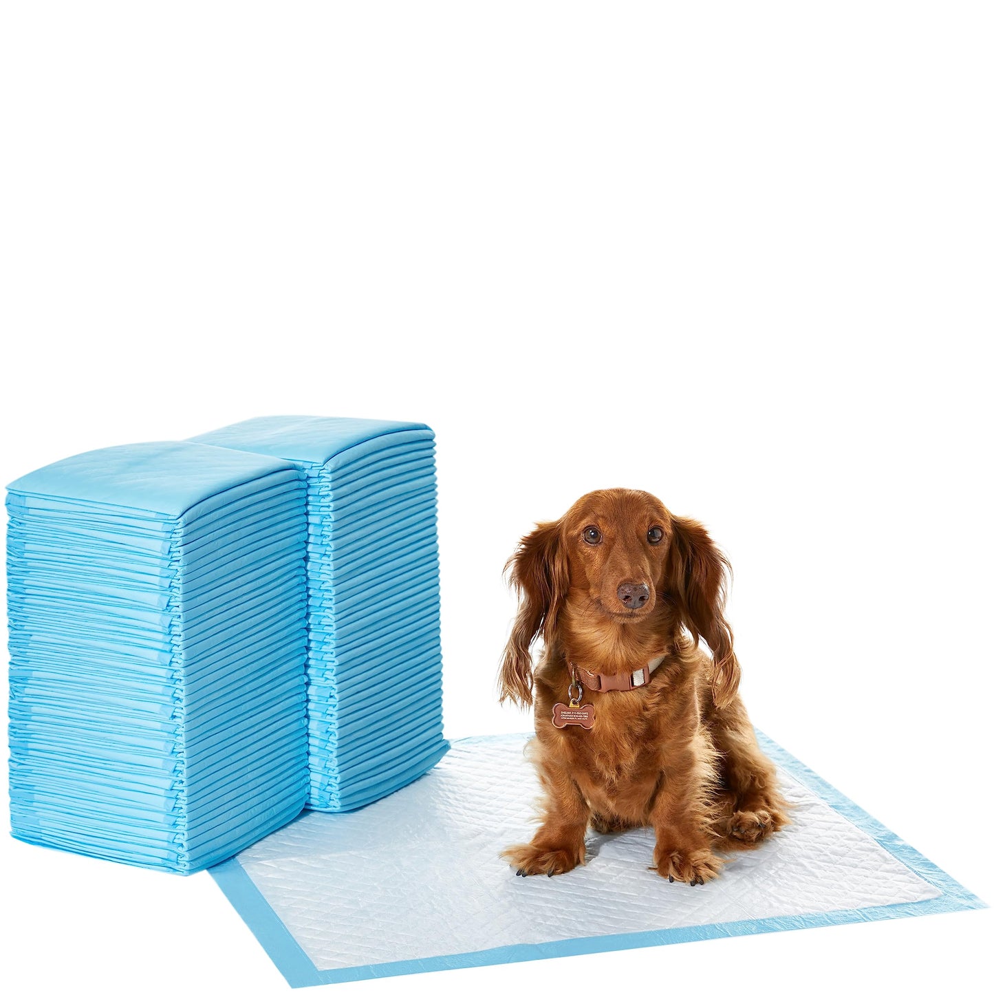 Amazon Basics Dog and Puppy Pee Pads with Leak-Proof Quick-Dry Design for Potty Training, Standard Absorbency, Regular Size, 22 x 22 Inches, Pack of 100, Blue & White