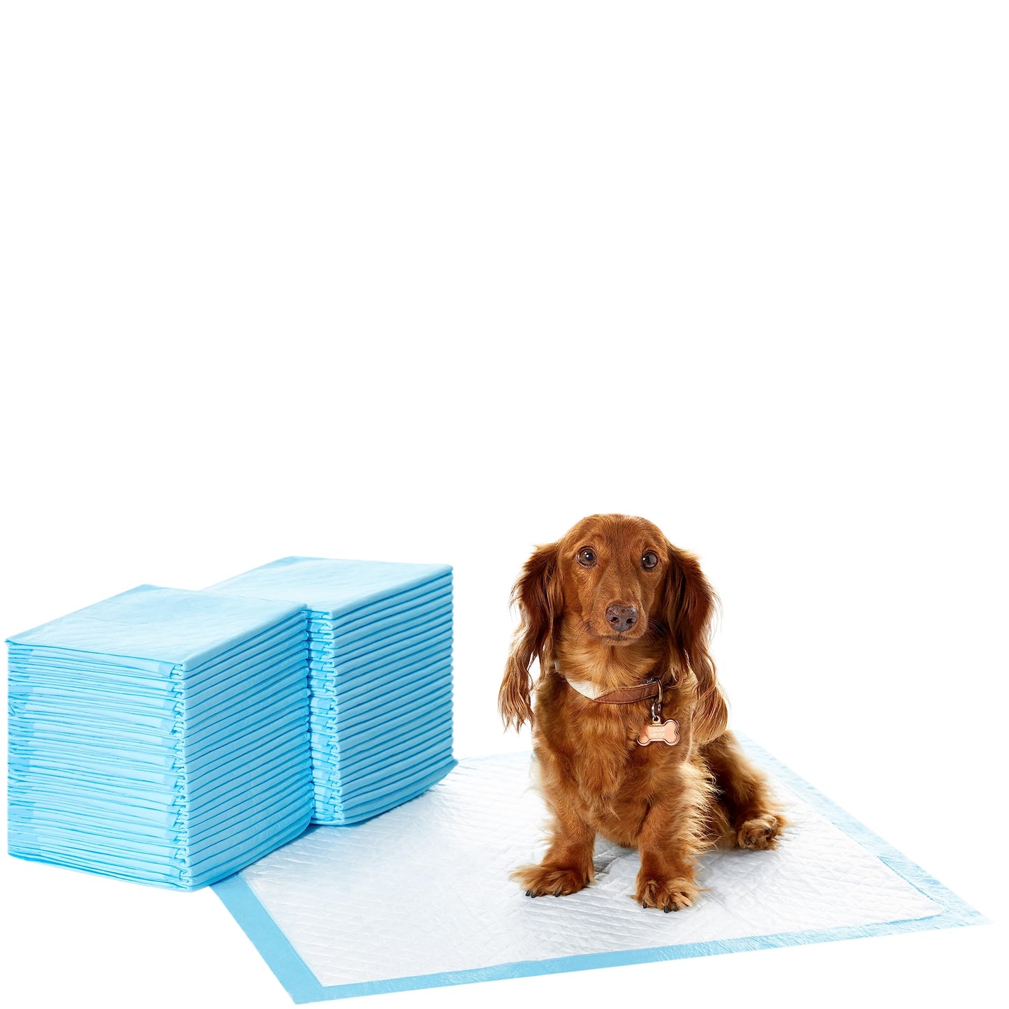 Amazon Basics Dog and Puppy Pee Pads with Leak-Proof Quick-Dry Design for Potty Training, Standard Absorbency, Regular Size, 22 x 22 Inches, Pack of 100, Blue & White