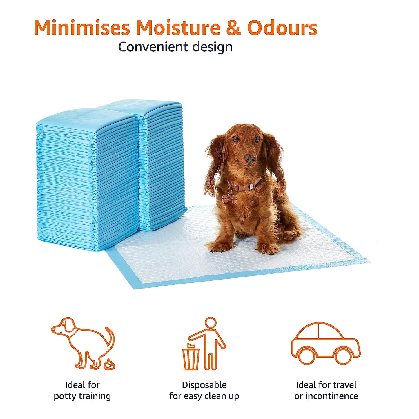 Amazon Basics Dog and Puppy Pee Pads with Leak-Proof Quick-Dry Design for Potty Training, Standard Absorbency, Regular Size, 22 x 22 Inches, Pack of 100, Blue & White