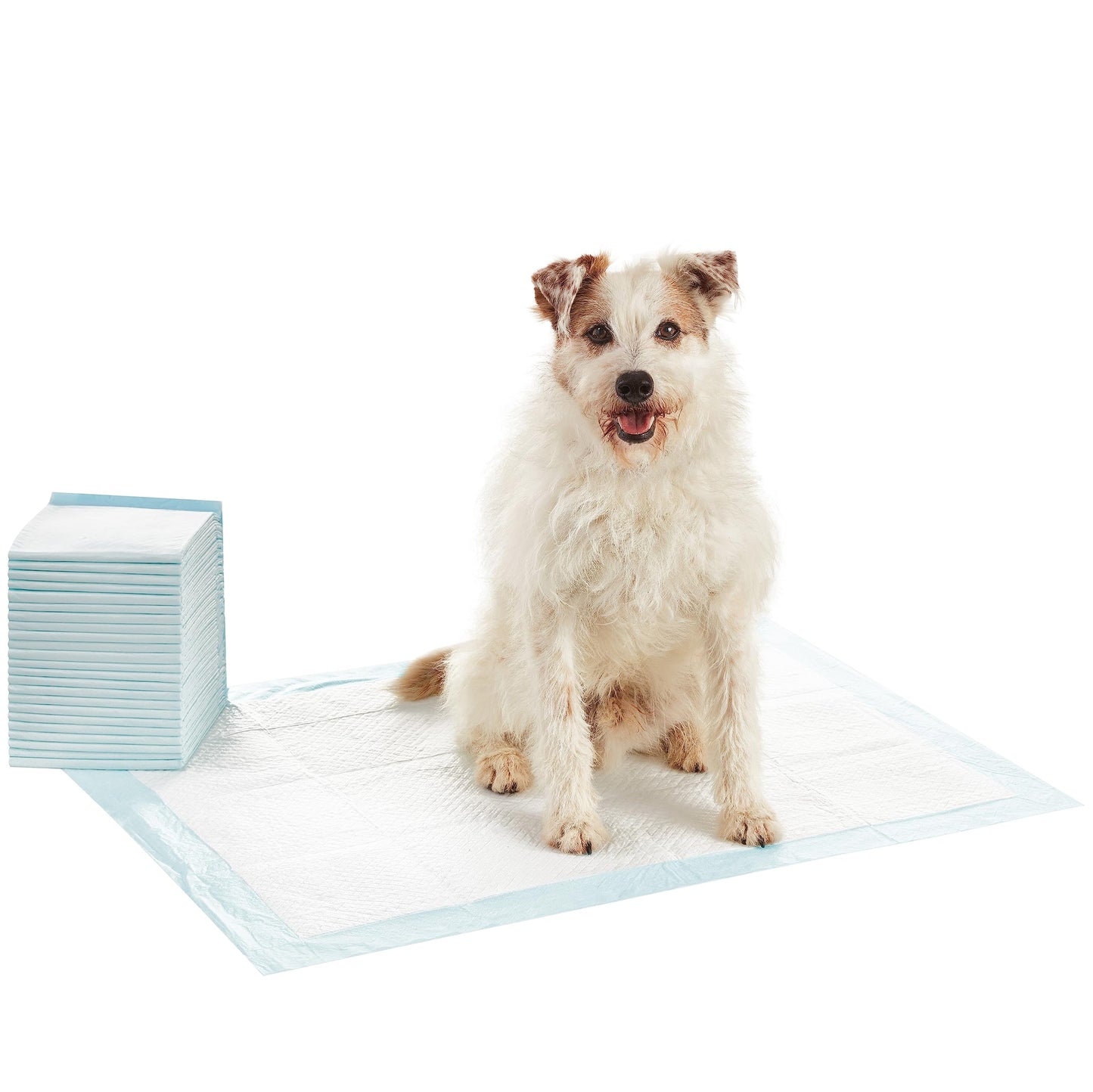 Amazon Basics Dog and Puppy Pee Pads with Leak-Proof Quick-Dry Design for Potty Training, Standard Absorbency, Regular Size, 22 x 22 Inches, Pack of 100, Blue & White