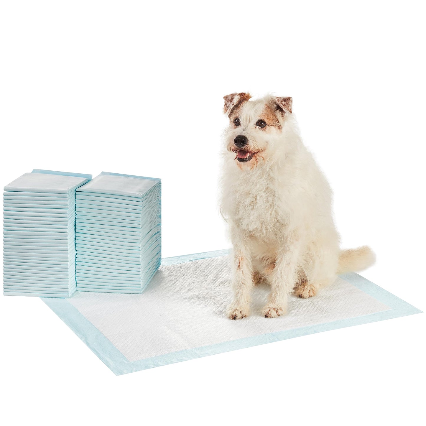 Amazon Basics Dog and Puppy Pee Pads with Leak-Proof Quick-Dry Design for Potty Training, Standard Absorbency, Regular Size, 22 x 22 Inches, Pack of 100, Blue & White