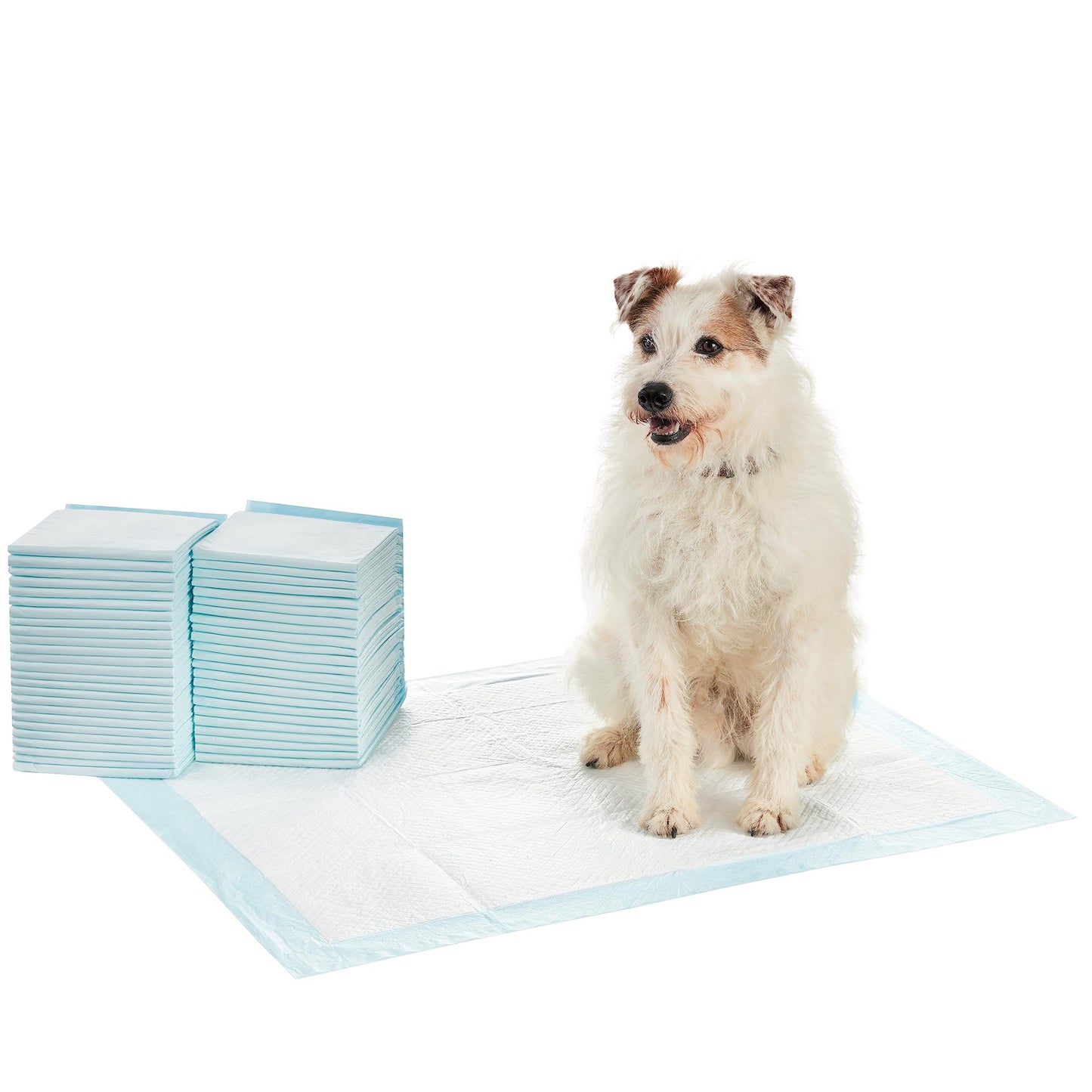 Amazon Basics Dog and Puppy Pee Pads with Leak-Proof Quick-Dry Design for Potty Training, Standard Absorbency, Regular Size, 22 x 22 Inches, Pack of 100, Blue & White